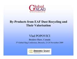 By-Products of the EAF Dust Recycling