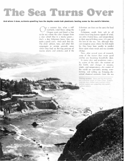 And where it does, nutrients upwelling from the depths