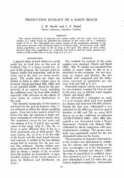 PRODUCTION ECOLOGY OF A SANDY BEACH