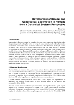 Development of Bipedal and Quadrupedal Locomotion in Humans