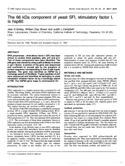 The 66 kDa component of yeast SFI, stimulatory factor I, is hsp60
