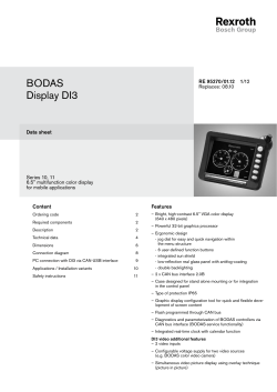 BODAS Display DI3