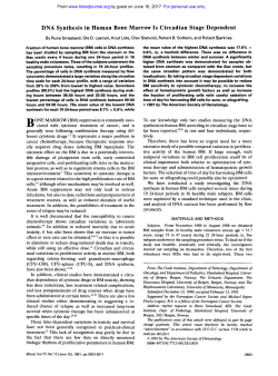 DNA Synthesis in Human Bone Marrow Is Circadian