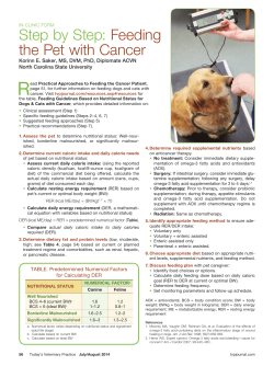 Step by Step: Feeding the Pet with Cancer