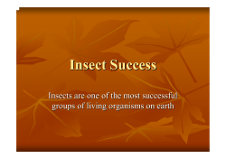 Insect Success