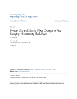 Protein Use and Muscle-Fiber Changes in Free