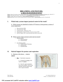breathing and posture: a multi-system event!