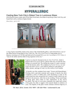 Casting New York City`s Oldest Tree in Luminous Glass
