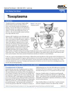 Toxoplasma - National Pork Board