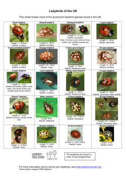 Ladybirds of the UK - UK Ladybird Survey