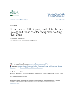 Consequences of Kleptoplasty on the Distribution, Ecology