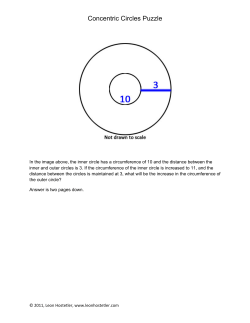 Concentric Circles Puzzle