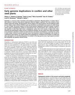 Early genome duplications in conifers and other seed plants