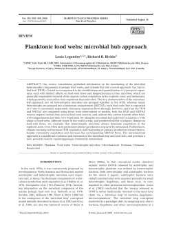 Planktonic food webs: microbial hub approach