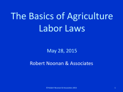 The Basics of Agriculture Labor Laws
