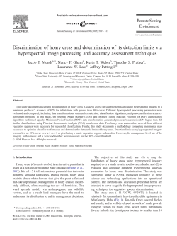 Discrimination of hoary cress and determination of its detection limits