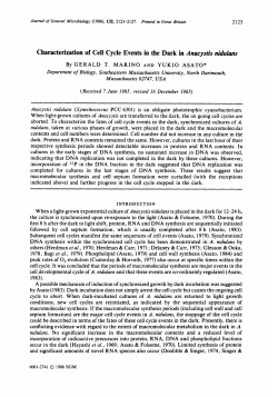 Characterization of Cell Cycle Events in the Dark in