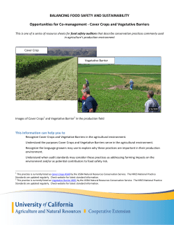 Cover Crops and Vegetative Barriers