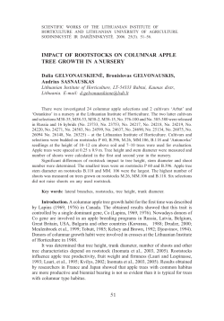 impact of rootstocks on columnar apple tree growth in a nursery