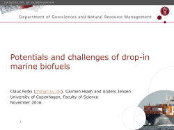 p08-potentials-and-challenges-of-drop-in-marine-biofuels