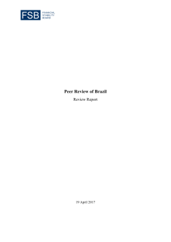 Brazil peer review report - Financial Stability Board