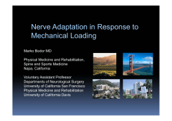 Nerve Adaptation in Response to Mechanical Loading