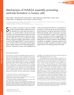 Mechanisms of HsSAS6 assembly promoting centriole formation in