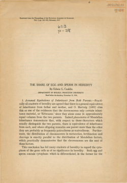 THE SHARE OF EGG AND SPERM IN HEREDITY 1
