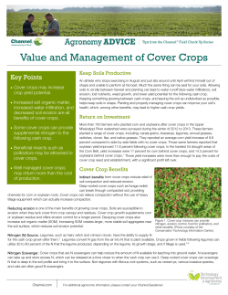 Value and Management of Cover Crops