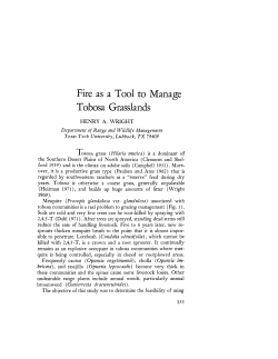 Fire as a Tool to Manage Tobosa Grasslands