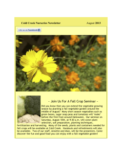 August 1, 2013 - Cold Creek Nurseries