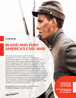 blood and fury: america`s civil war