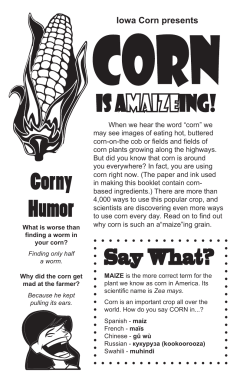 Iowa Corn Activity Book