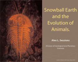Snowball Earth and the Evolution of Animals.
