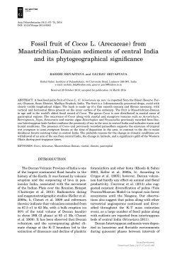 Fossil fruit of Cocos L. (Arecaceae) from Maastrichtian