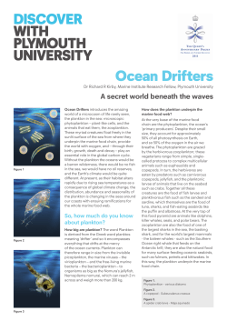 Ocean Drifters - Plymouth University