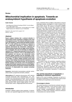 Mitochondrial implication in apoptosis. Towards an endosymbiont