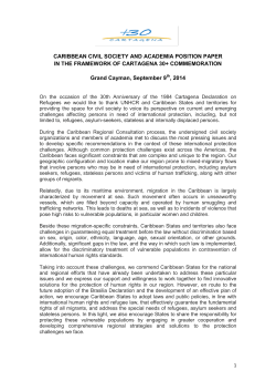 Caribbean civil society and academia position paper in