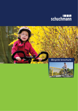 the tricycle as a therapy bicycle