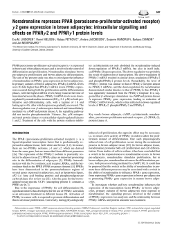 Noradrenaline represses PPAR (peroxisome-proliferator