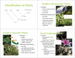 Defining characteristics