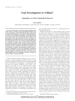 Fruit Development in Trillium