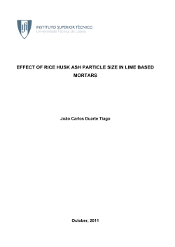 effect of rice husk ash particle size in lime based