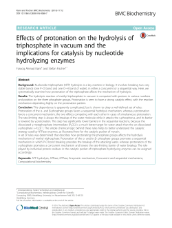 Effects of protonation on the hydrolysis of triphosphate in vacuum