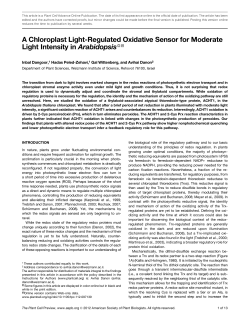 A Chloroplast Light-Regulated Oxidative Sensor for