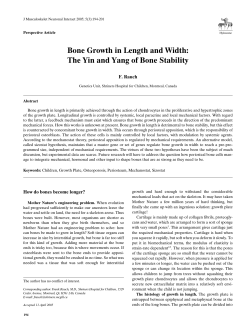 Bone Growth in Length and Width: The Yin and