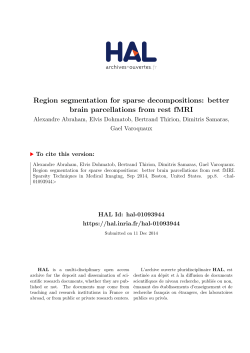 Region segmentation for sparse decompositions: better brain