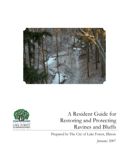 A Resident Guide for Restoring and Protecting Ravines and Bluffs