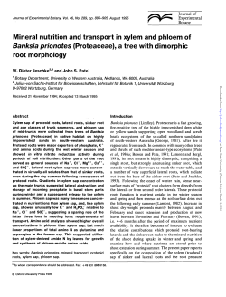 Mineral nutrition and transport in xylem and phloem of