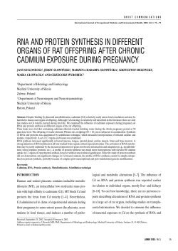 rna and protein synthesis in different organs of rat offspring after